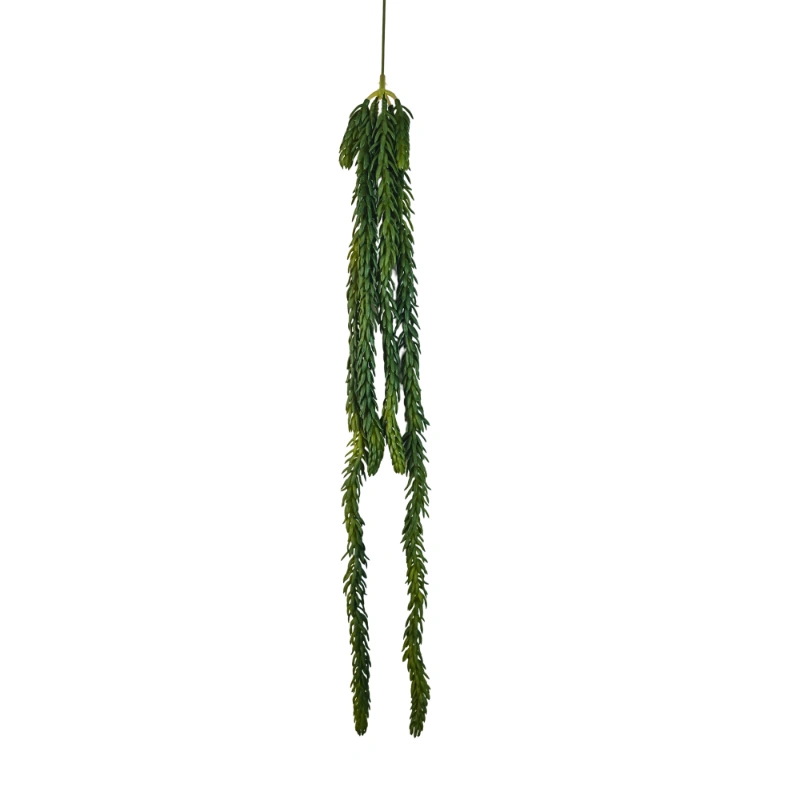SUCULENTA COLGANTE 54cm VERDE