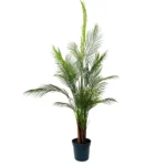 Planta tropical artificial para interiores amplios