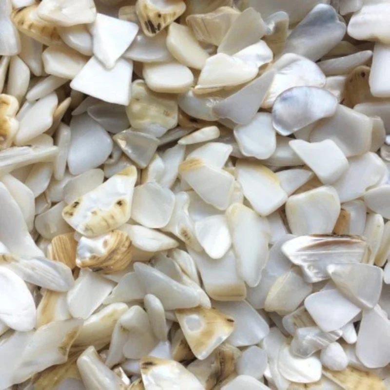 NACAR NATURAL 2-4cm 200g