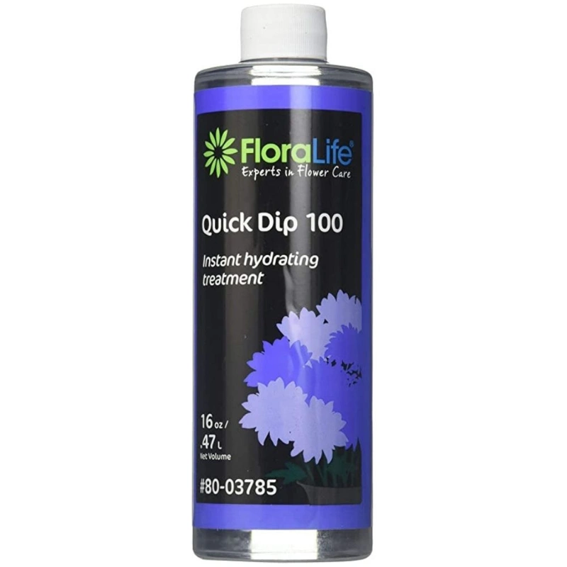QUICK DIP 550ml OASIS