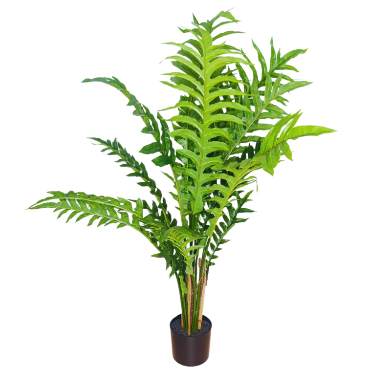 PLANTA DAVALIA 75cm VERDE