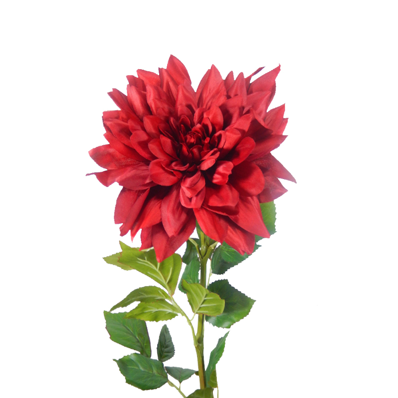 DAHLIA 1,11mts ROJO