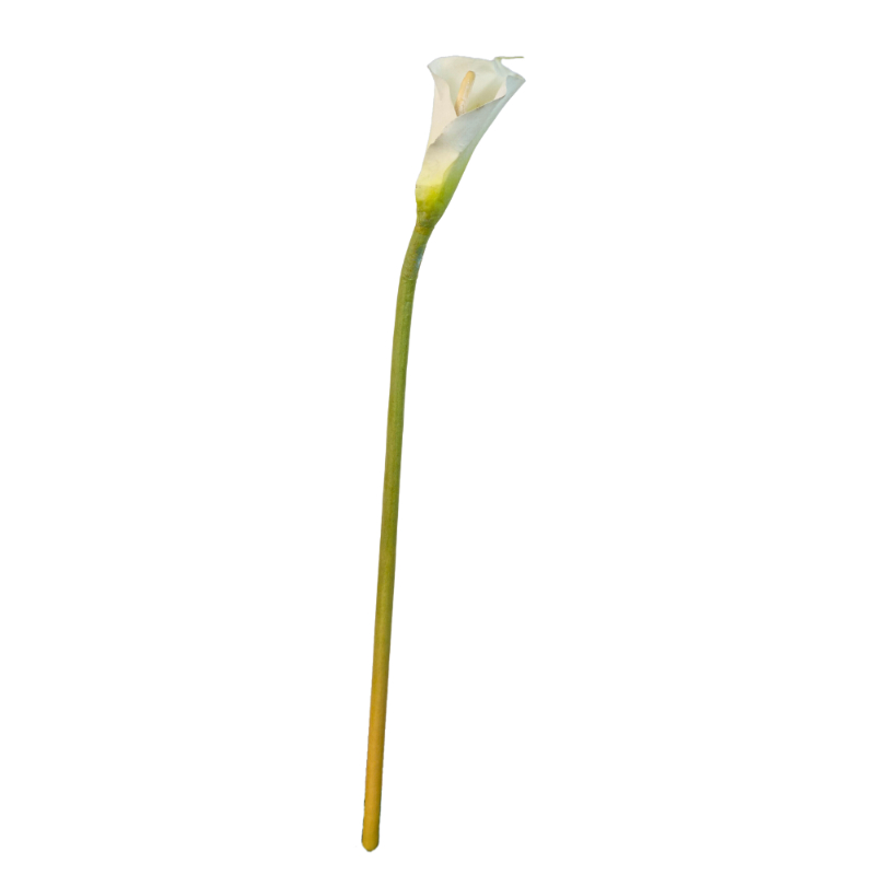 CALLA MED 61cm CREMA(18439)