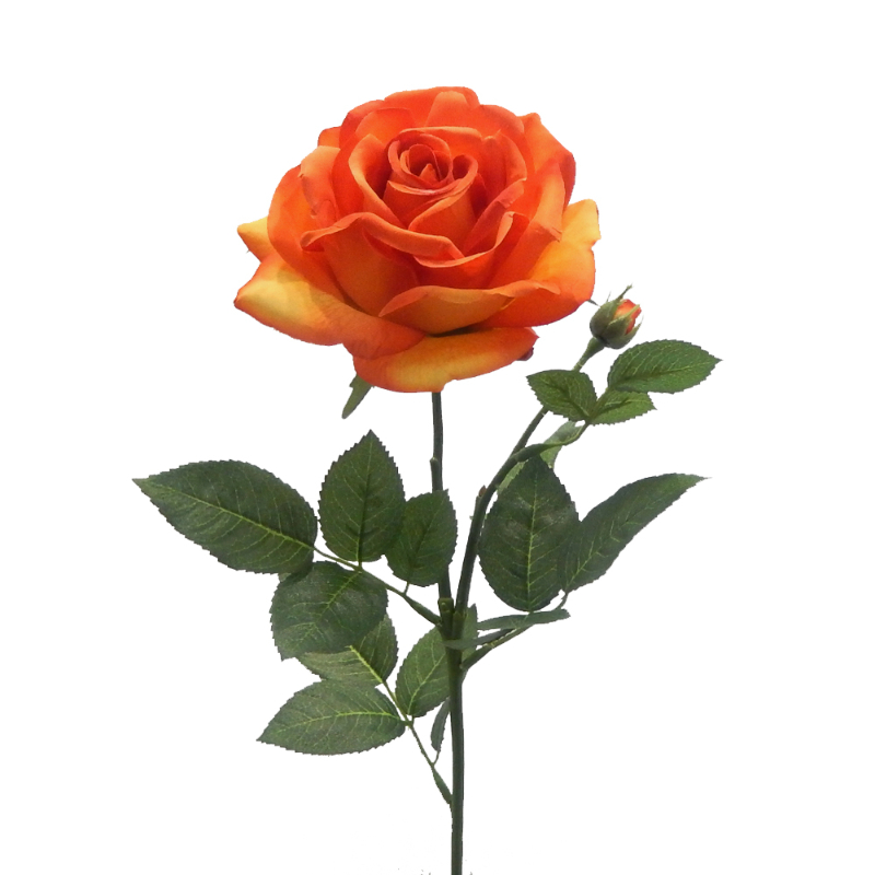 ROSA ANNY 70cm NARANJA