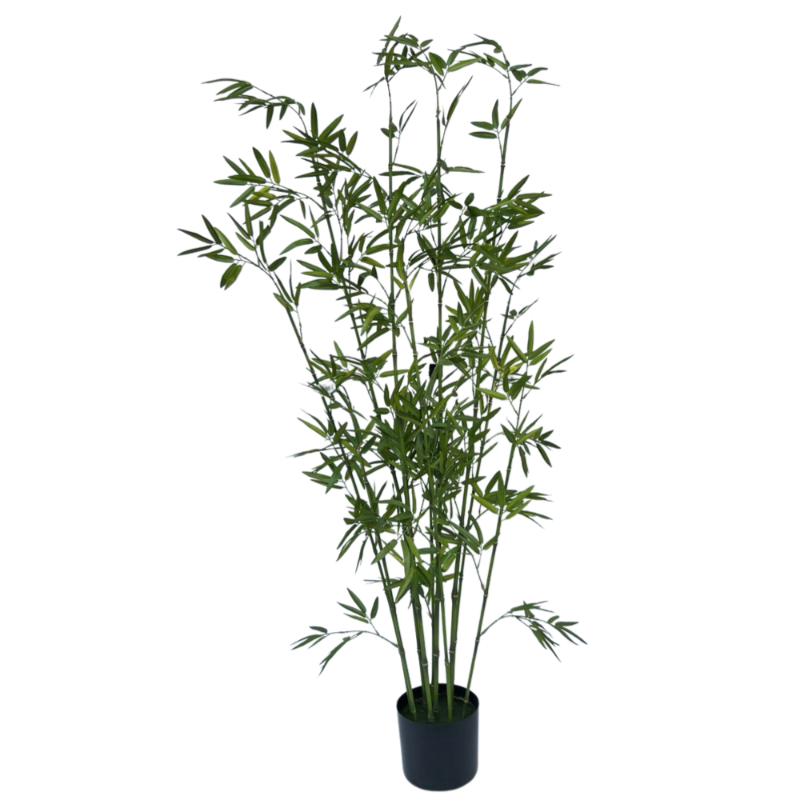 PLANTA BAMBOO 1,53mts VERDE