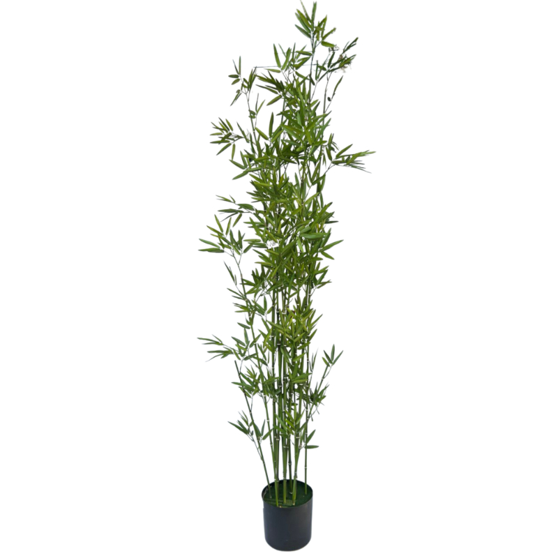 PLANTA BAMBOO 1,83mts VERDE