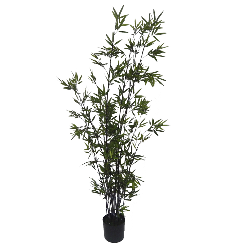 PLANTA BAMBOO 1,83mts CAFÉ