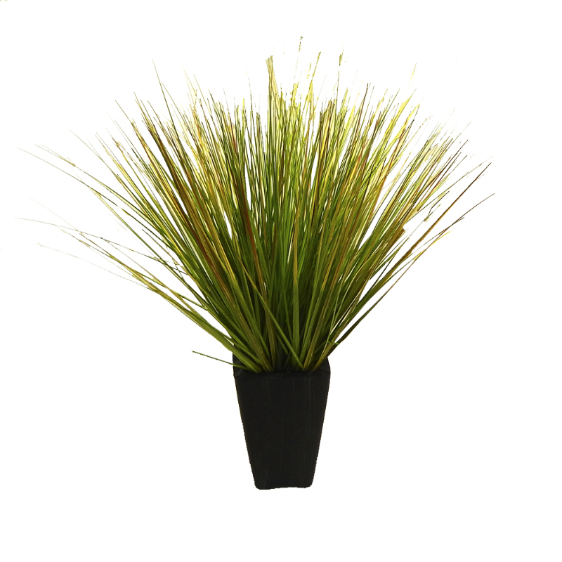 PLANTA PASTO CEBOLLA 71cm VERDE