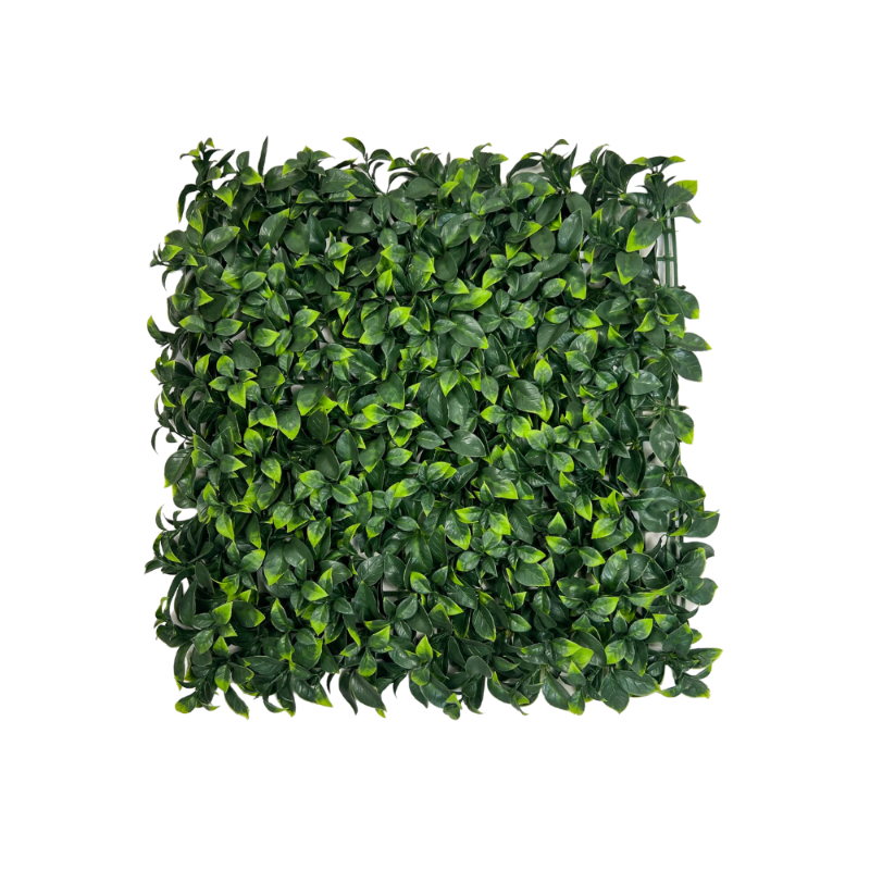 PALMETA RUSCUS VERDE UV 50X50CM