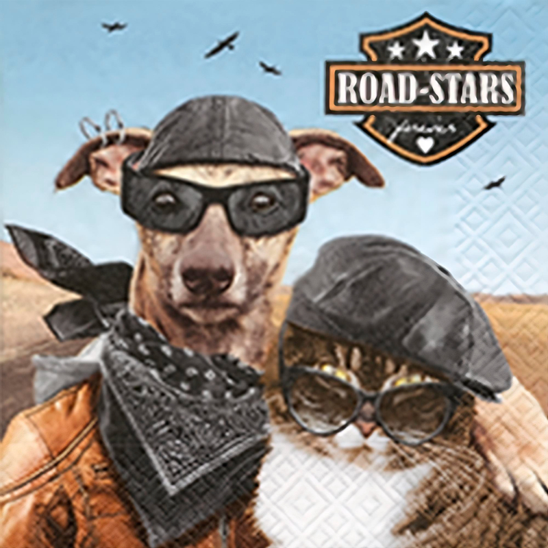 SERVILLETAS PAPEL ROAD-STARS (20)