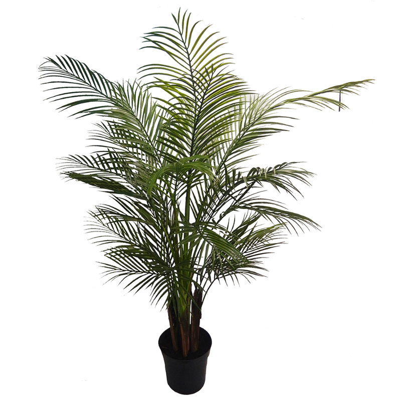 PLANTA ARECA 1,37mts VERDE