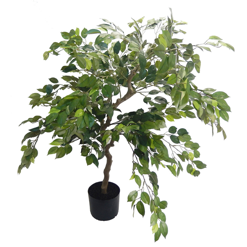 PLANTA FICUS 1,2mts VERDE