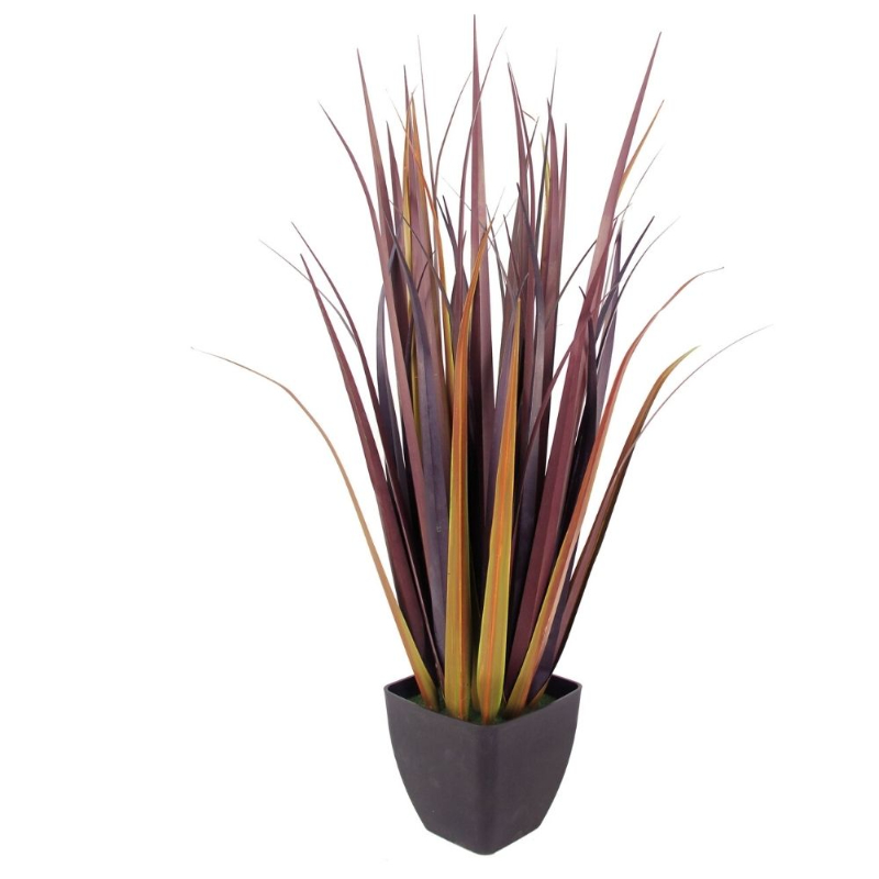 PLANTA ONION GRASS 91cm BURDEO