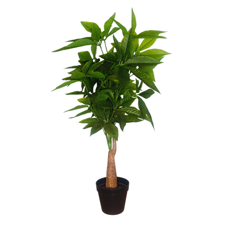 PLANTA MONEY 85cm