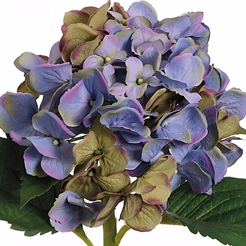 HORTENSIA 48cm LAVANDA/AZUL