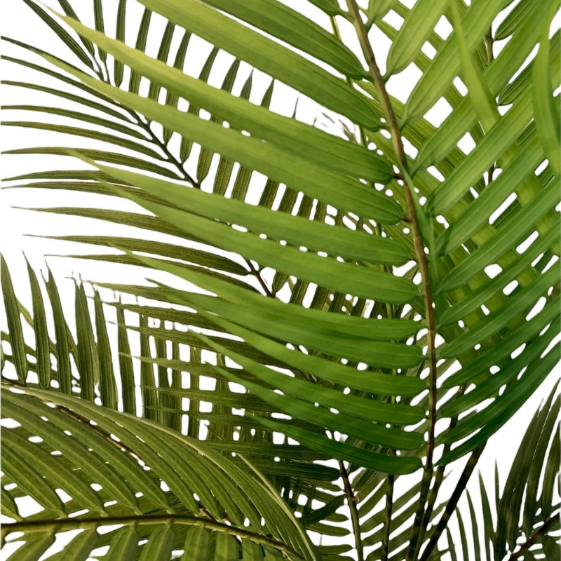 PLANTA PALMERA 1,4m VERDE