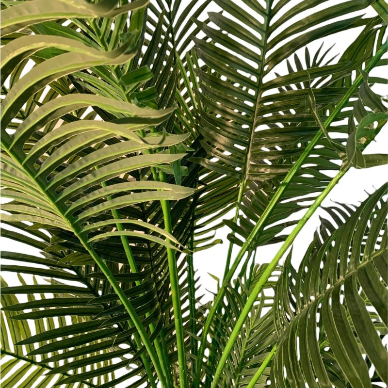 PLANTA PALMERA 2,1m VERDE