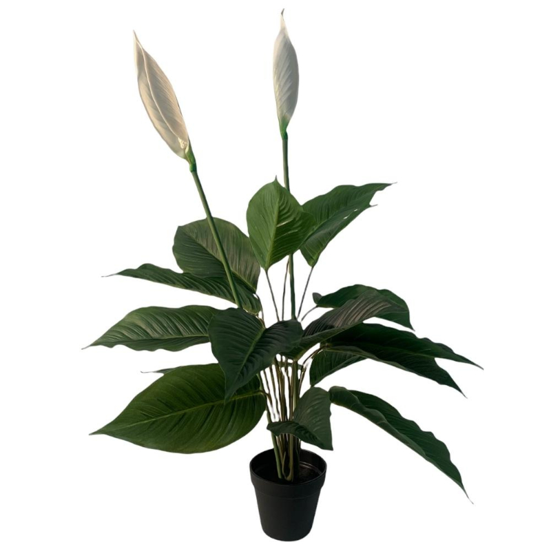 PLANTA SPATHIPHYLLUM 75cm VERDE