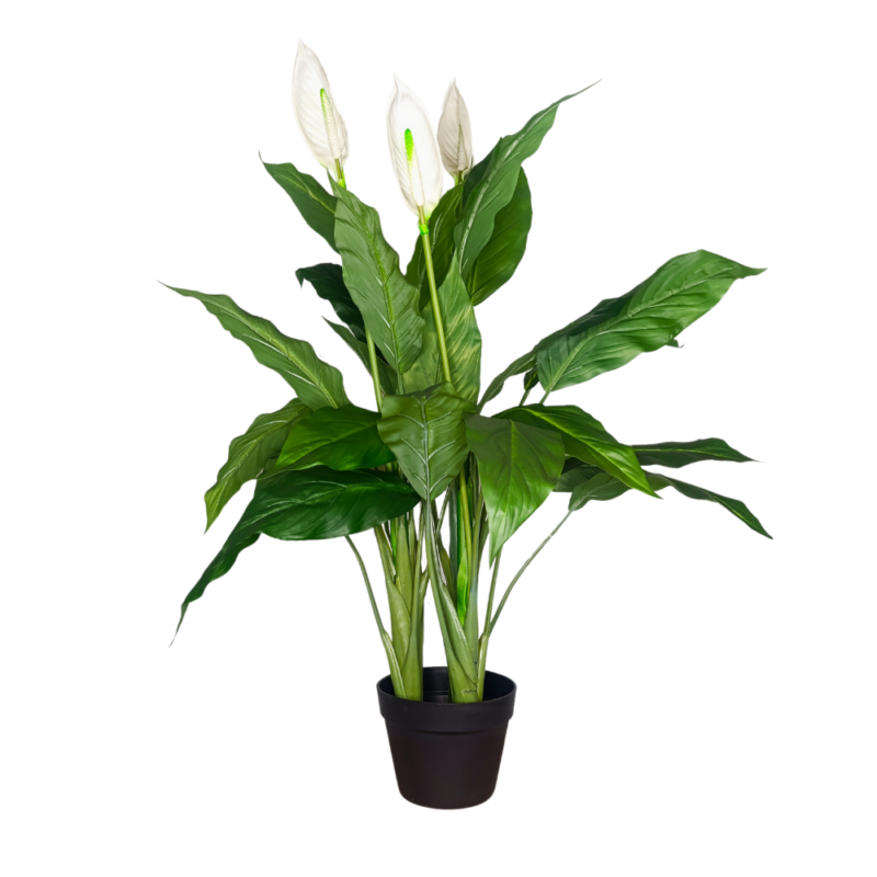 PLANTA SPATHIPHYLLUM 96cm VERDE