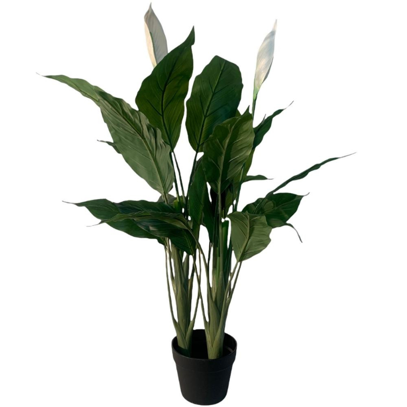 PLANTA SPATHIPHYLLUM 96cm VERDE