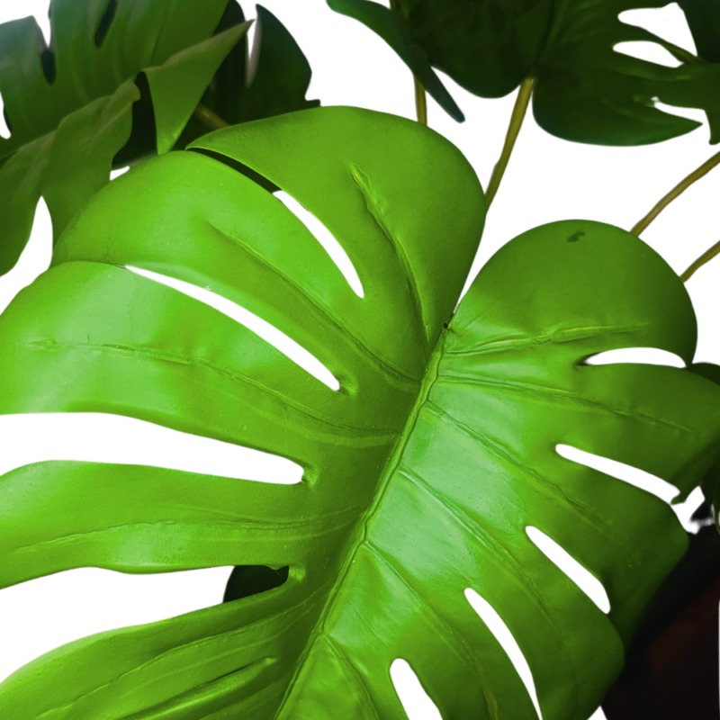 PLANTA MONSTERA 72cm VERDE