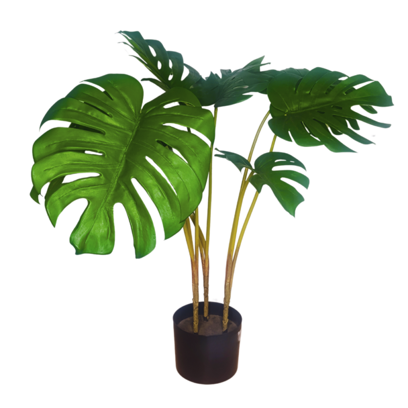 PLANTA MONSTERA 72cm VERDE