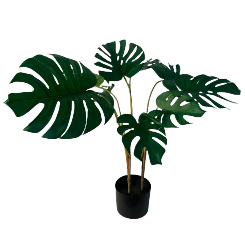 PLANTA MONSTERA 72cm VERDE