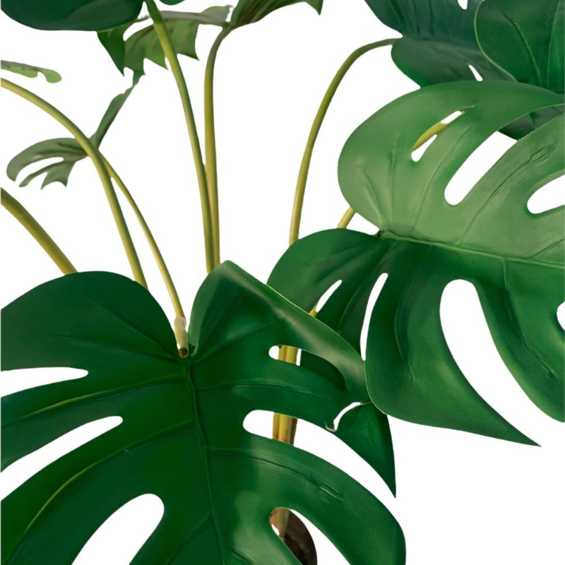 PLANTA MONSTERA 72cm VERDE