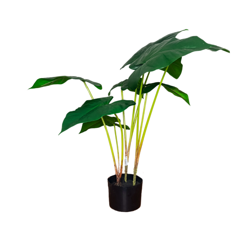 PLANTA ANTHURIUM 70cm VERDE