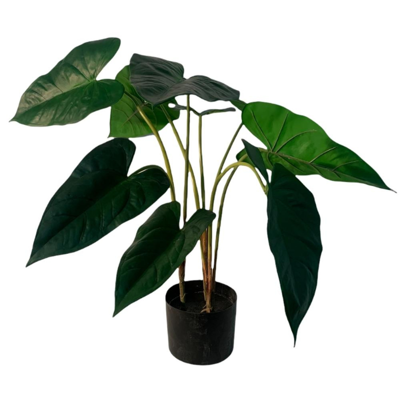 PLANTA ANTHURIUM 70cm VERDE