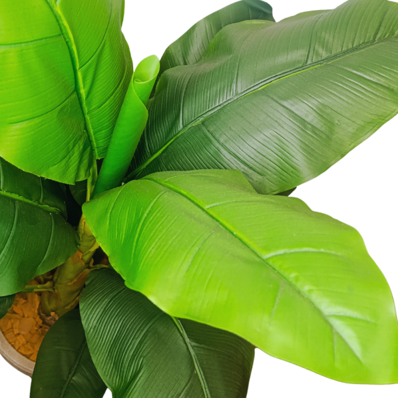 PLANTA BANANA 1,2m VERDE