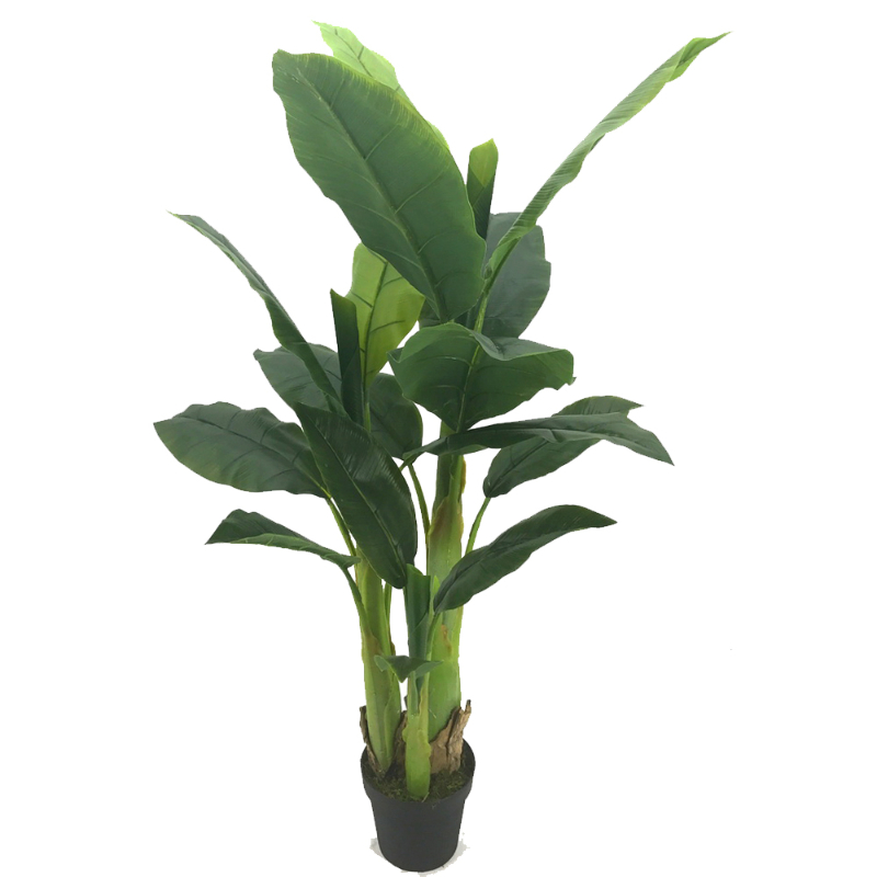 PLANTA BANANA 1,2m VERDE