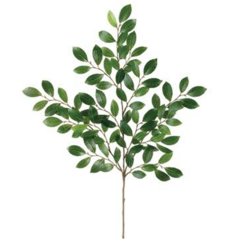 HOJA RUSCUS 66cm VERDE  (20622)