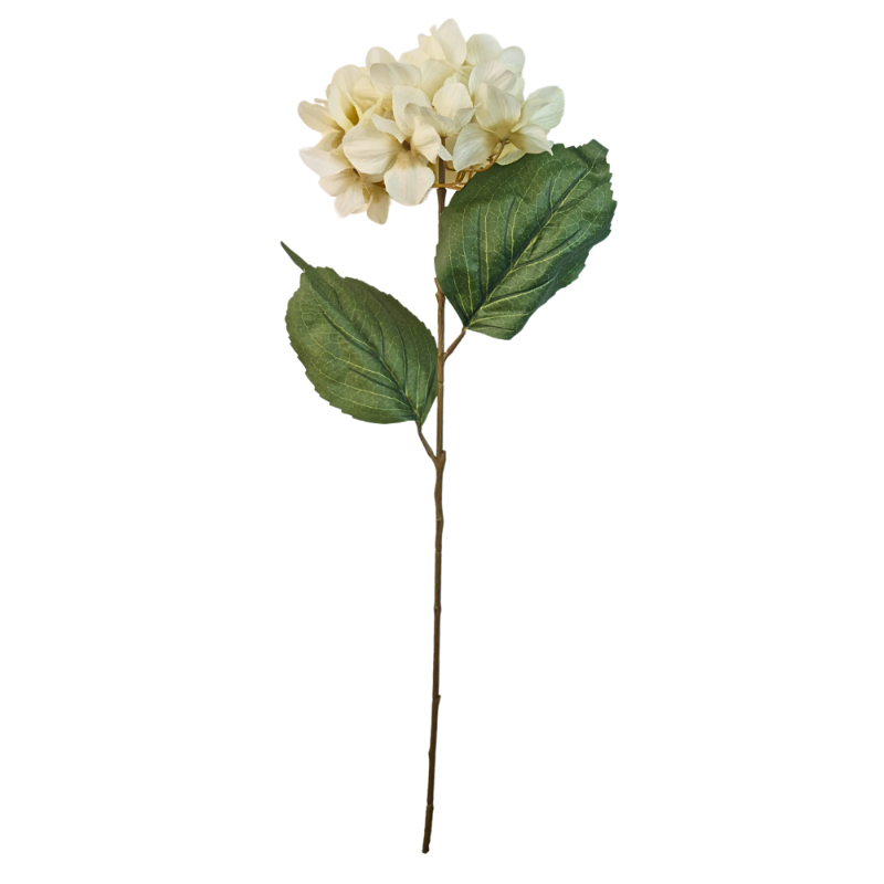 HORTENSIA 74cm CREMA