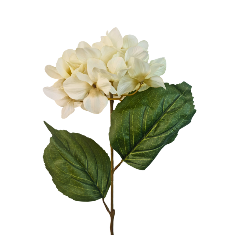 HORTENSIA 74cm CREMA