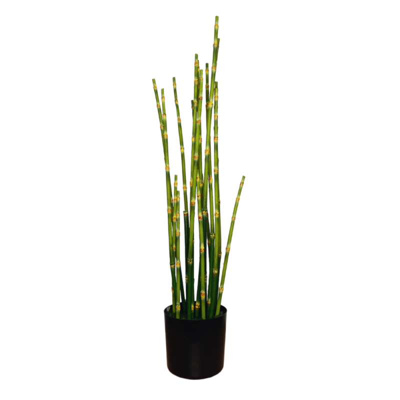 PLANTA SNAKE 65cm VERDE