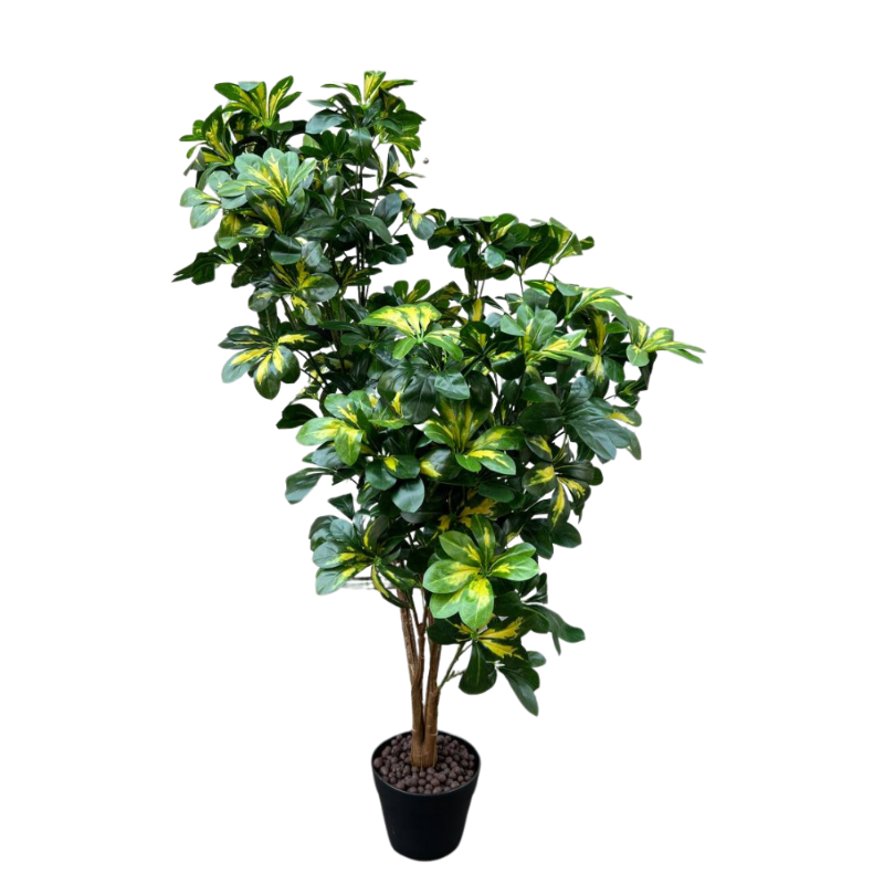 PLANTA SCHEFFLERA 1,3m VERDE