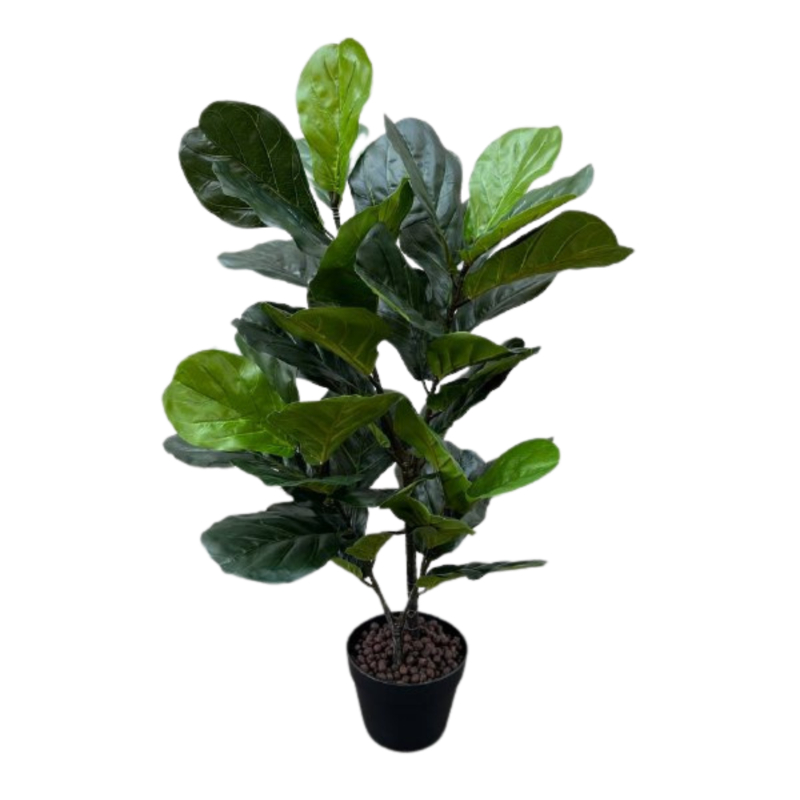 PLANTA LYRATA 95cm VERDE