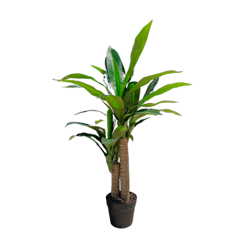 PLANTA DRACAENA 90cm VERDE