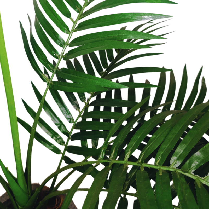 PLANTA PALMERA 70cm VERDE