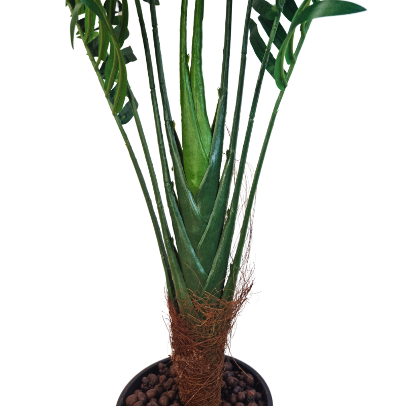 PLANTA PALMERA 70cm VERDE