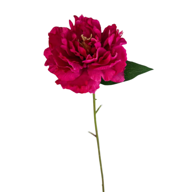 PEONIA 66cm FUCSIA