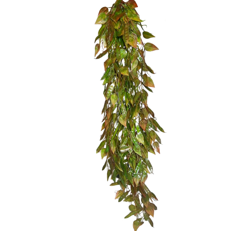 ENREDADERA LAUREL SEMILLA 86cm OTOÑAL