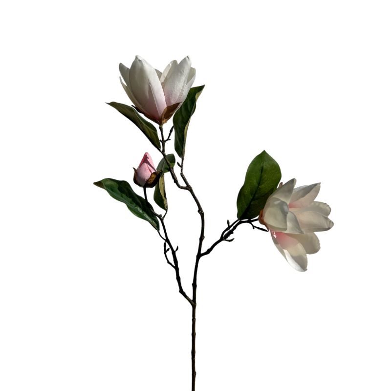 MAGNOLIA x2 60cm BLANCA