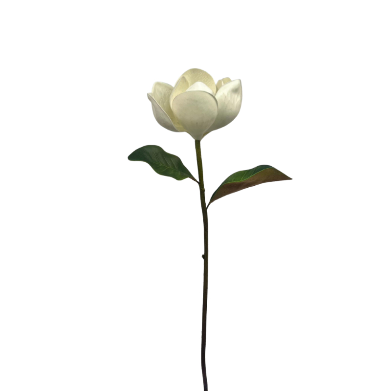 MAGNOLIA 60cm BLANCA