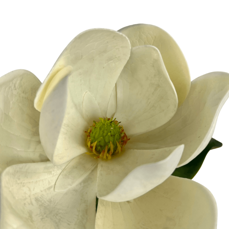 MAGNOLIA 60cm BLANCA