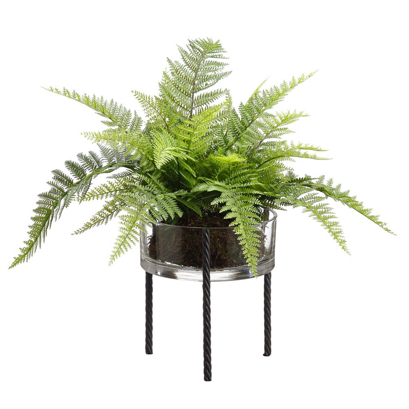 PLANTA HELE PALMILLA EN VIDRIO C/SOP 39cm