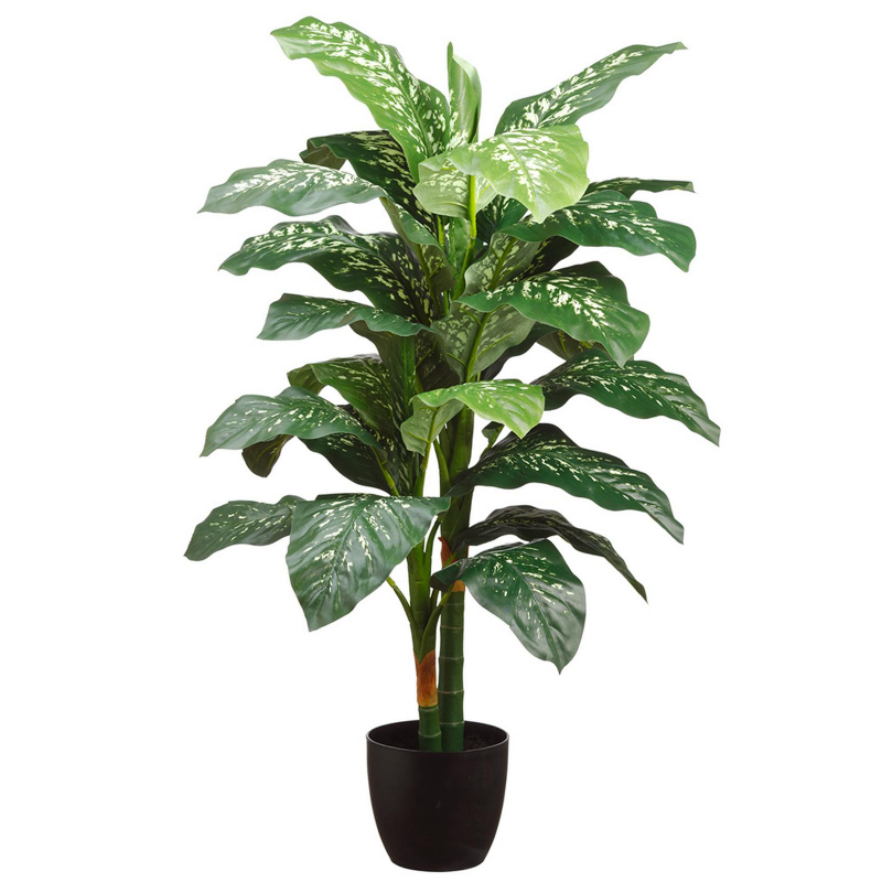 PLANTA DIEFFENBACHIA 122cm