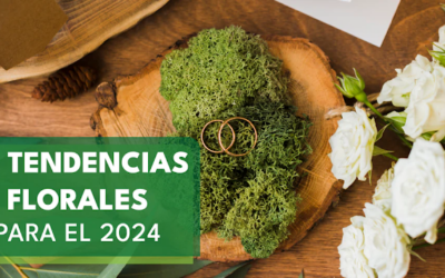 4 tendencias Florales para el 2024