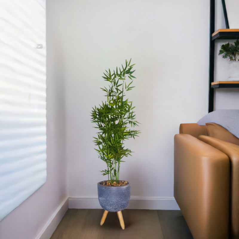 PLANTA BAMBOO 1,22mts VERDE